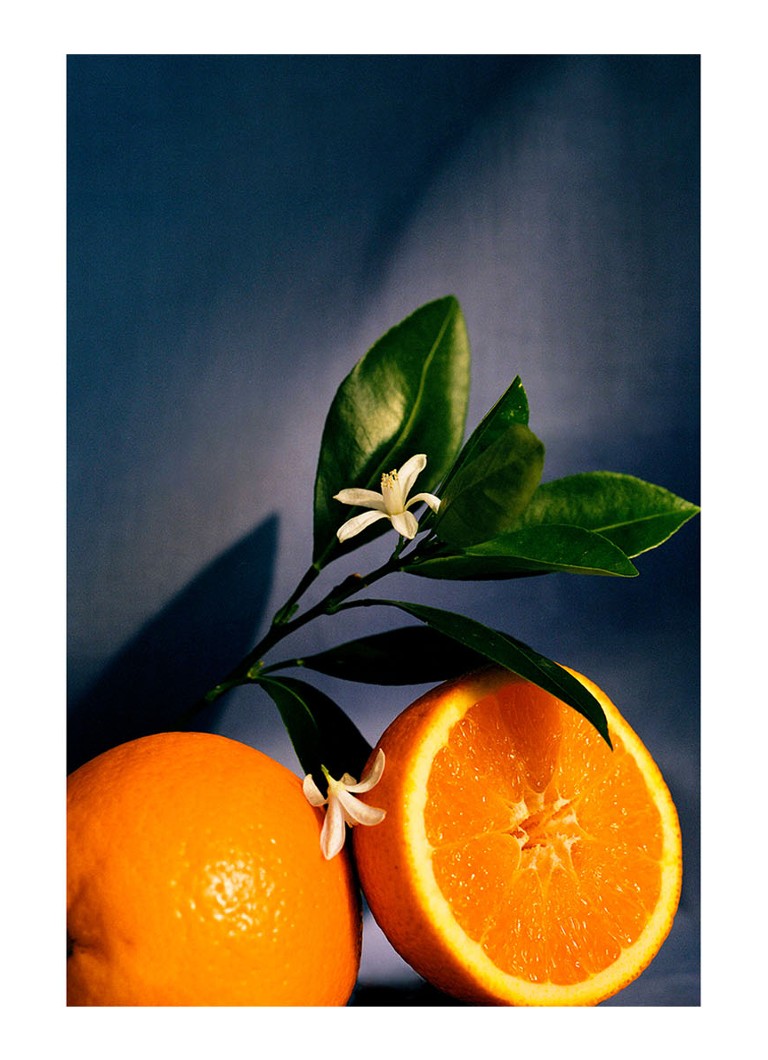 LOEWE Orange Blossom istabas aerosols - mājas smaržas 150 ml