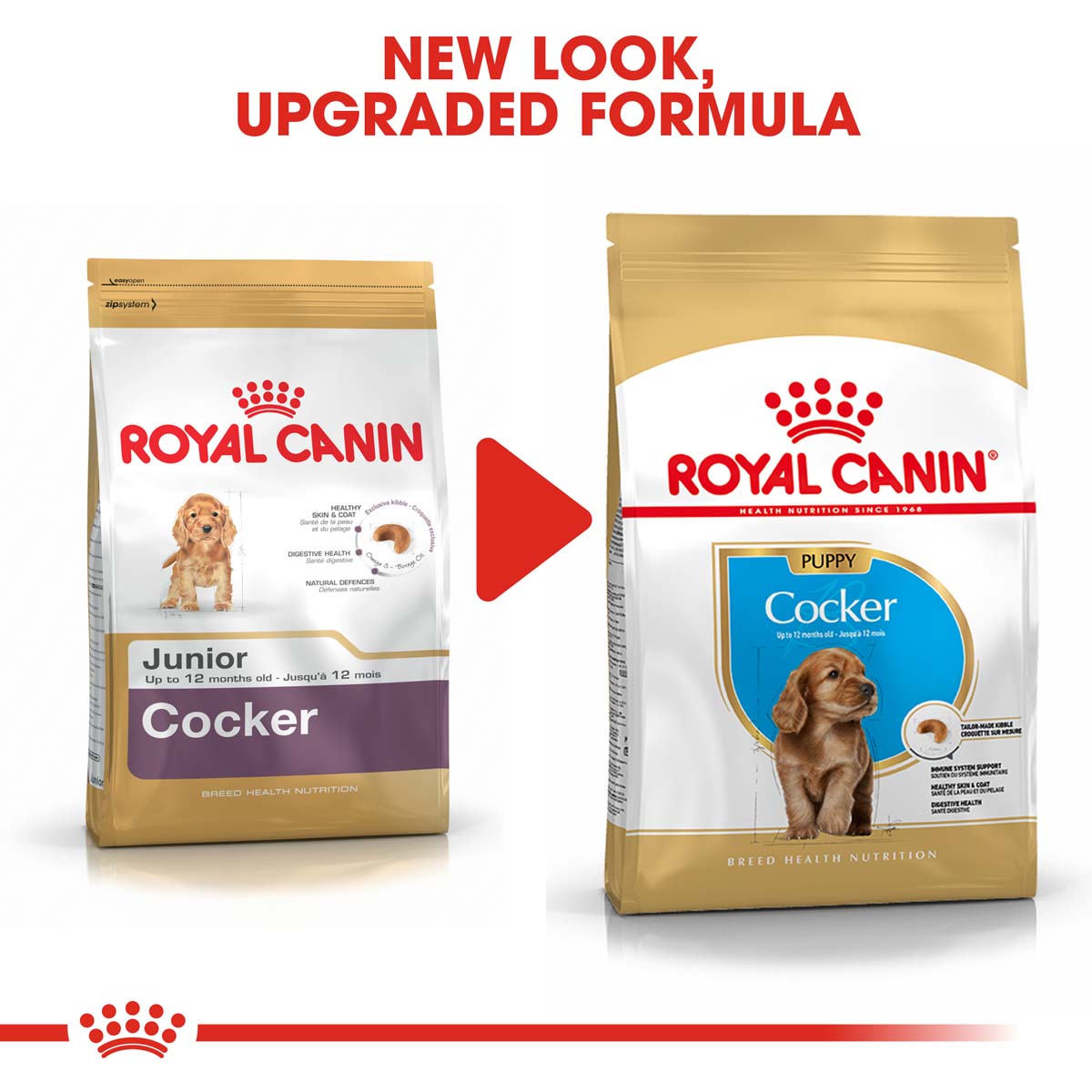 ROYAL CANIN Cocker Puppy Welpenfutter trocken kaufen bei ZooRoyal