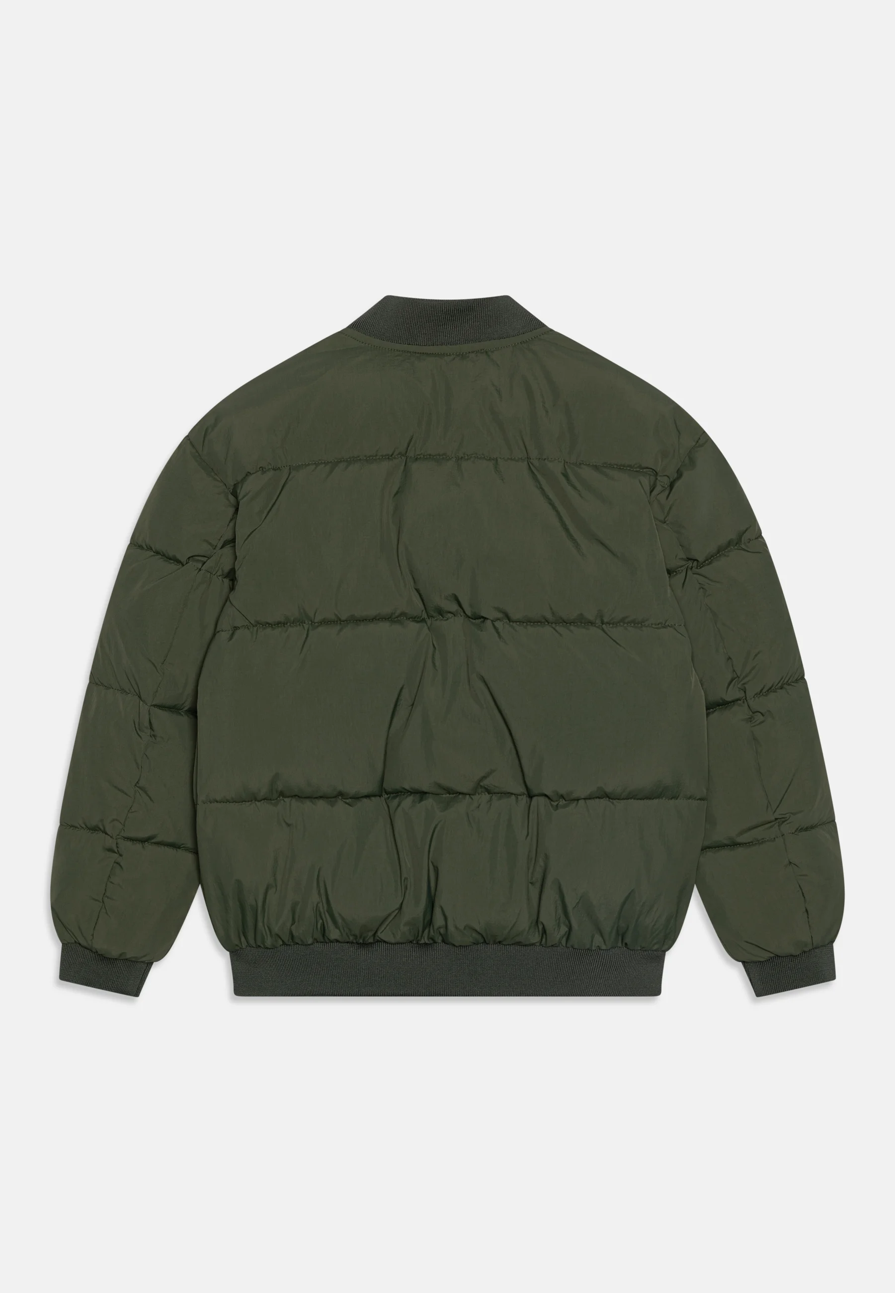 Calvin Klein Jeans PUFFY MINIMAL - Chaqueta de invierno