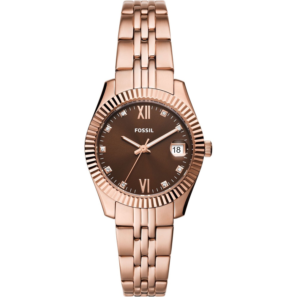 Fossil Montre pour femme Acier inoxydable Montre