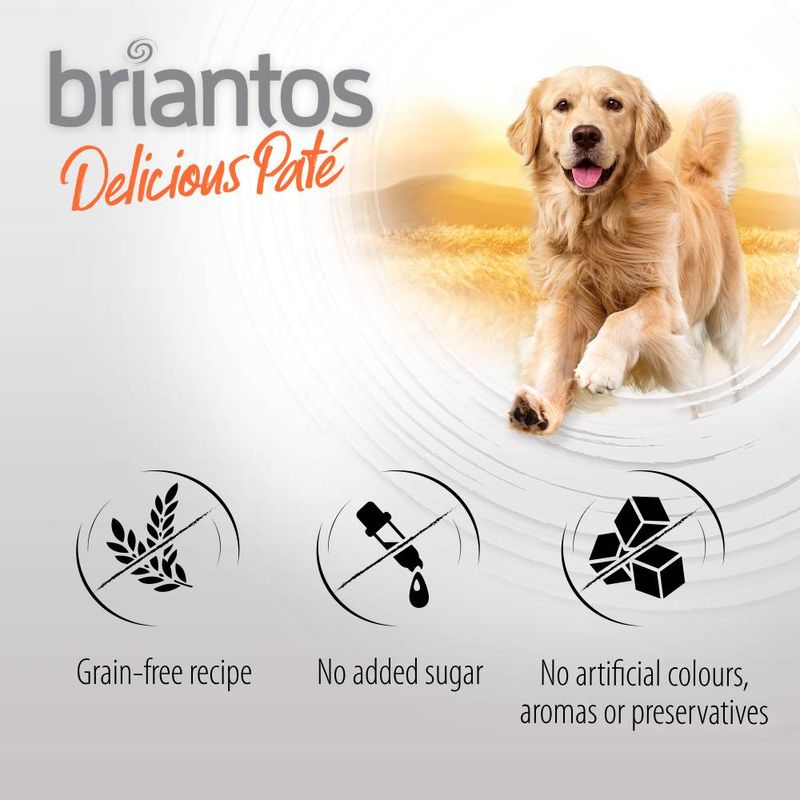 Probierpaket Briantos Delicious Paté