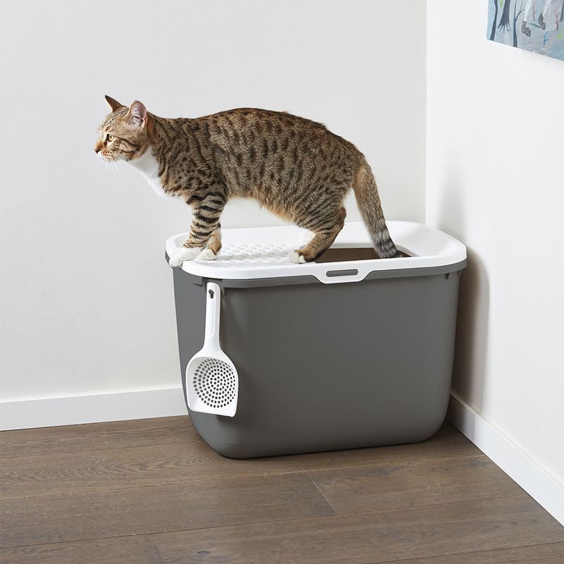 Savic Katzentoilette Hop In zu TOP-Preisen
