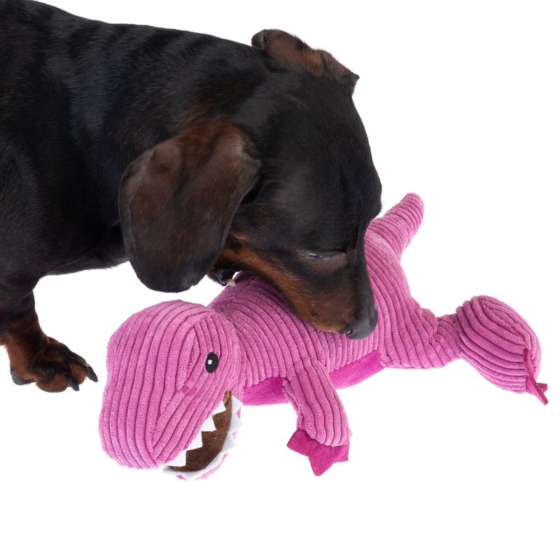 TIAKI Hundespielzeug T-Rex zu TOP-Preisen