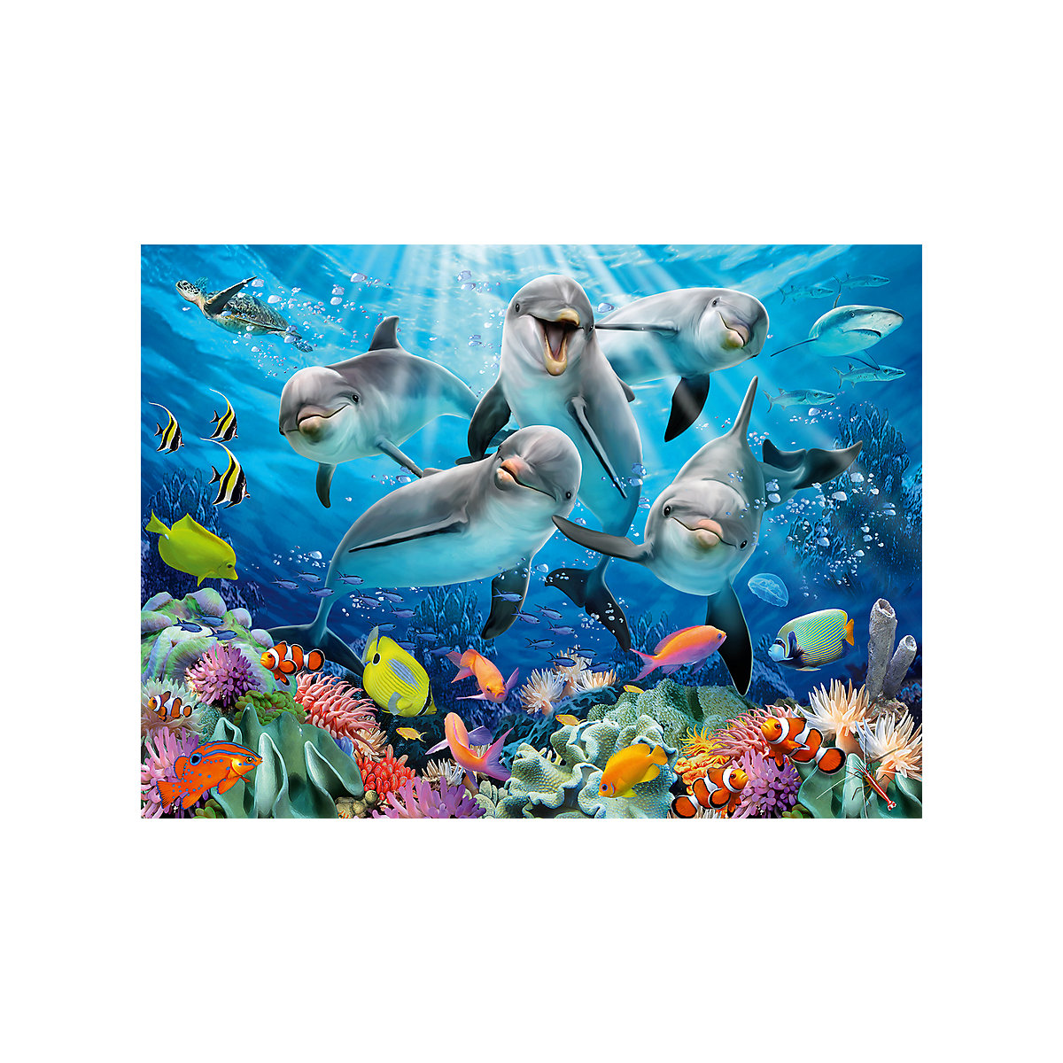 Puzzle 500 Teile, 49x36 cm, Delfine im Korallenriff