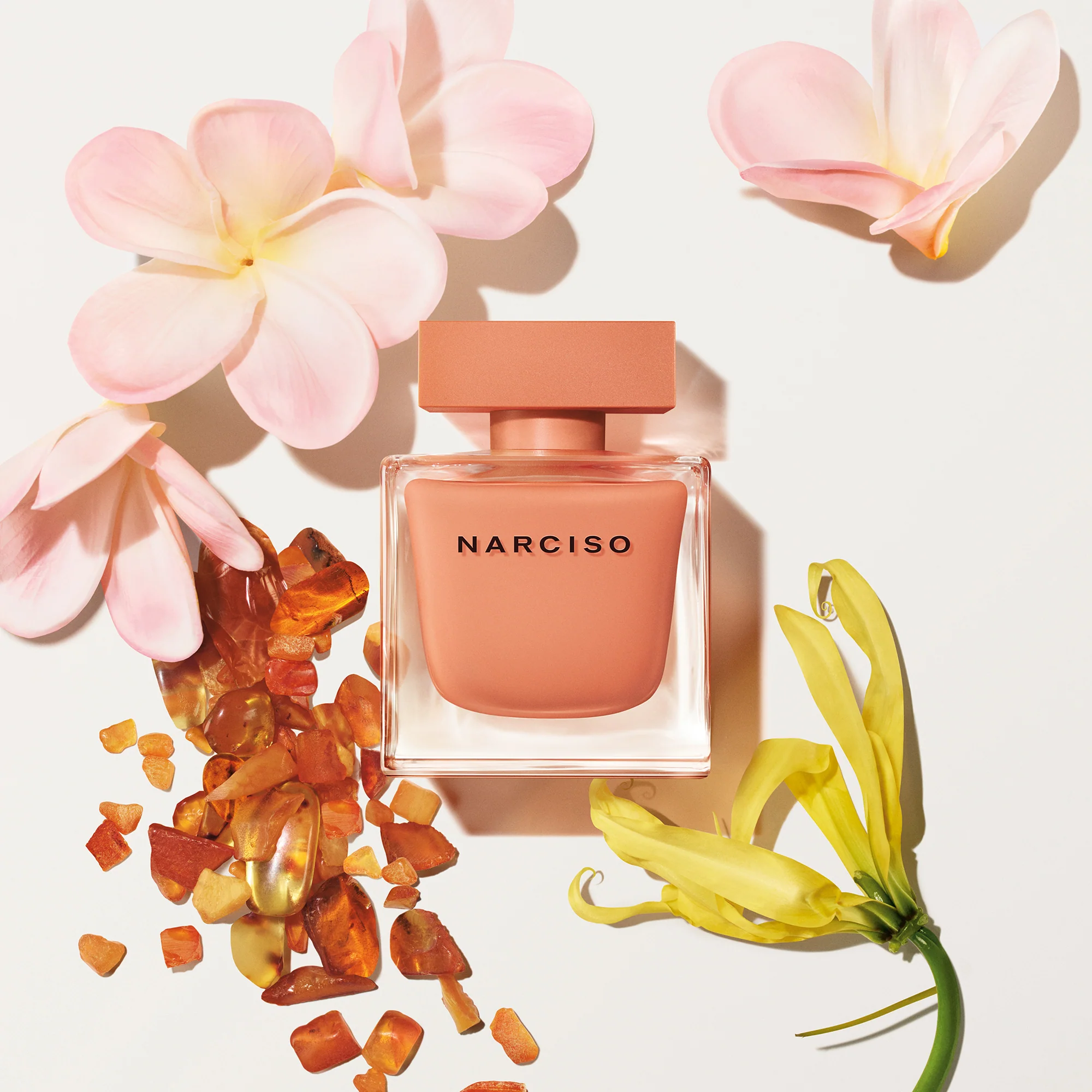 Narciso Ambrée - parfumska voda