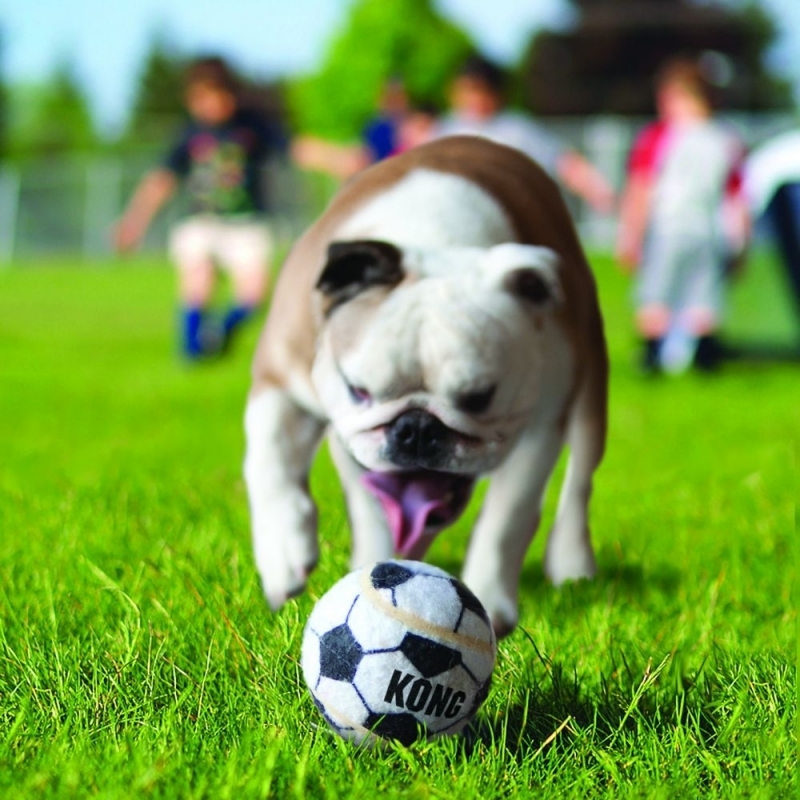 KONG Hundebälle KONG Spielzeug Sport Bälle