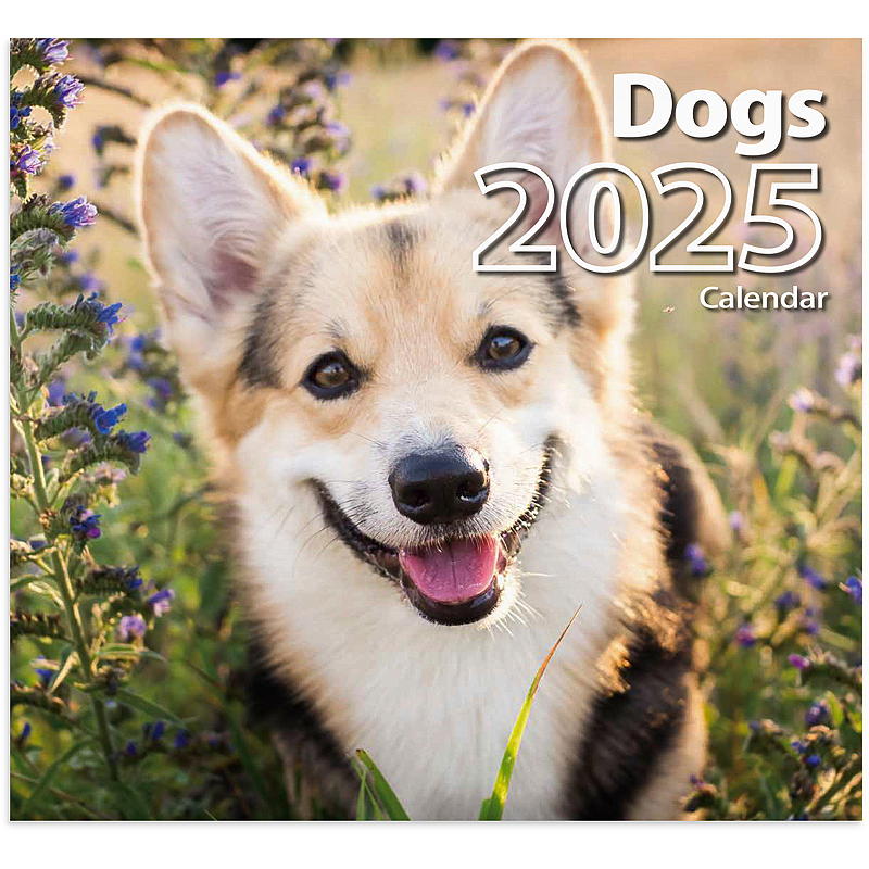 Veggkalender dogs 2025
