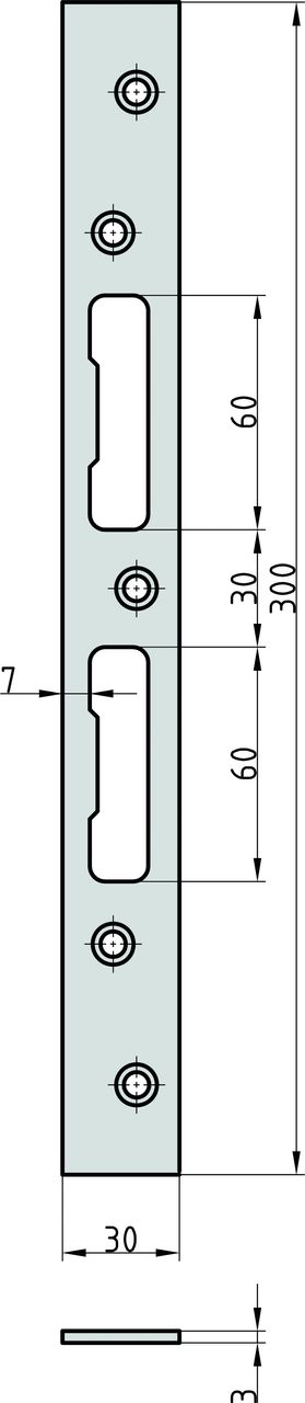 Basi Flachschliessblech - FLB 955 - verzinkt - käntig - 300x30x3 mm - Rechts/Links verwendbar