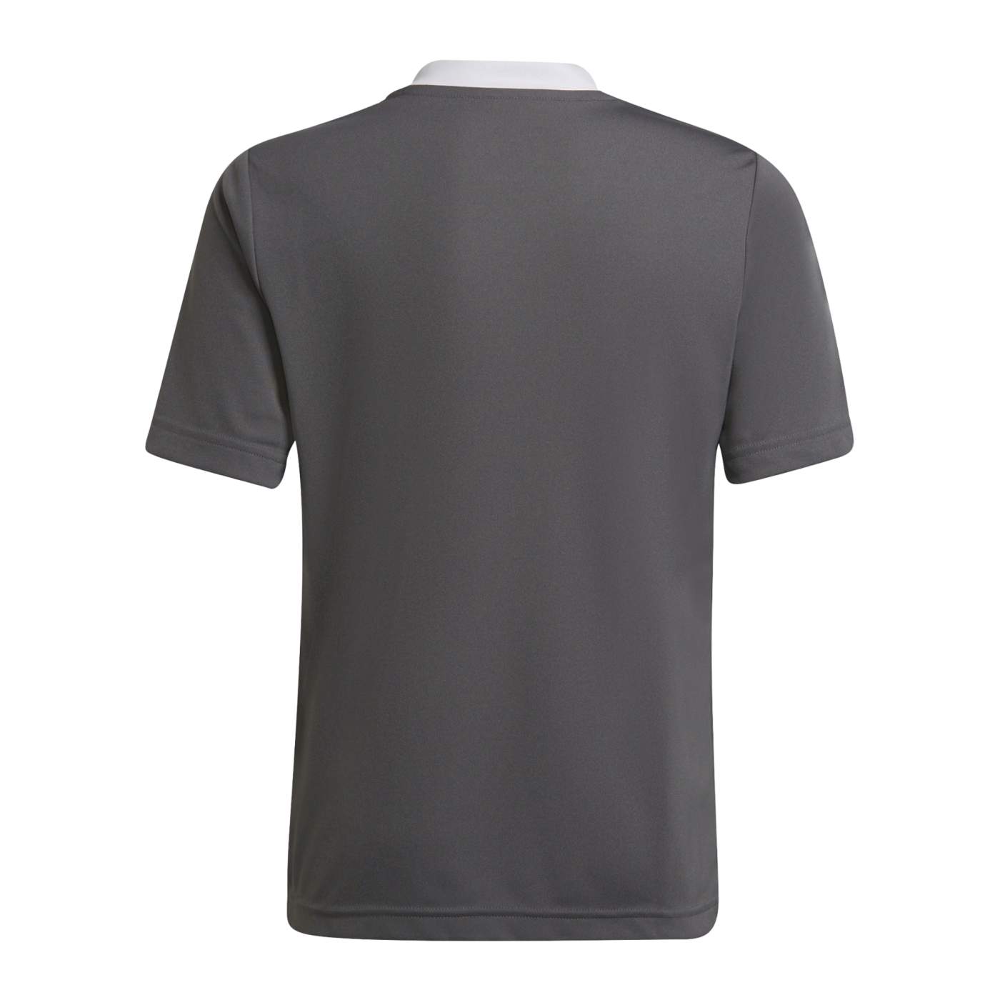 adidas Entrada 22 Trikot Kids Grau Weiss