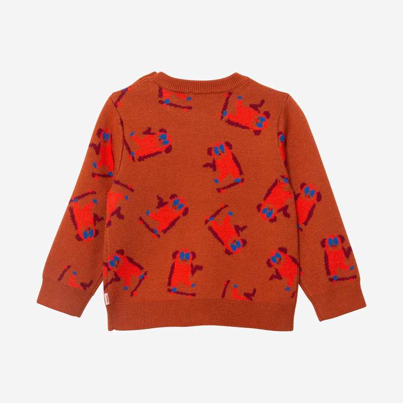 Pull bébé garçon jacquard skate Catimini