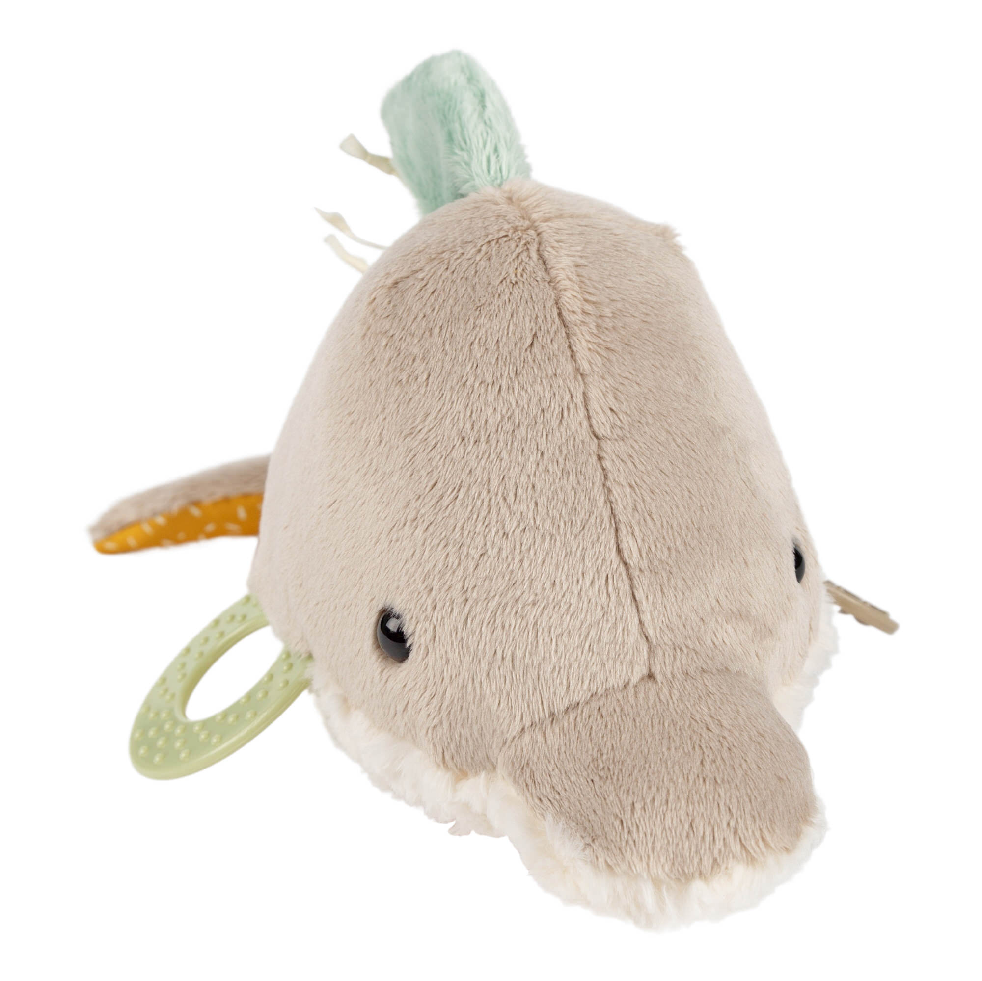 Baby Aktiv Delfin