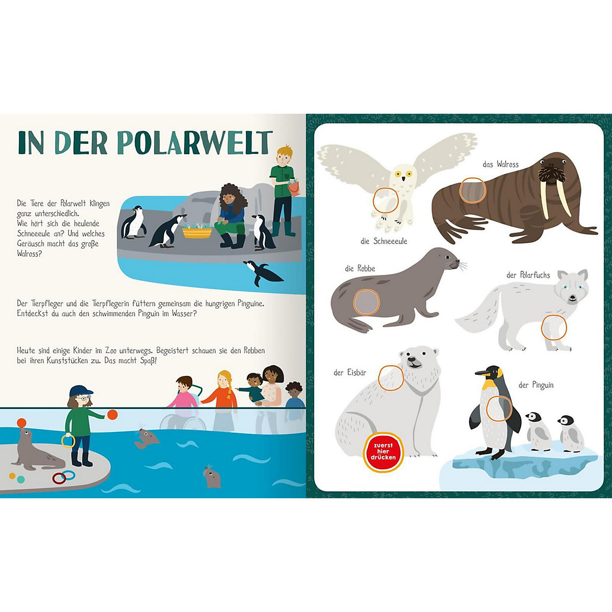 Mein sprechendes Soundbuch - Tiere im Zoo