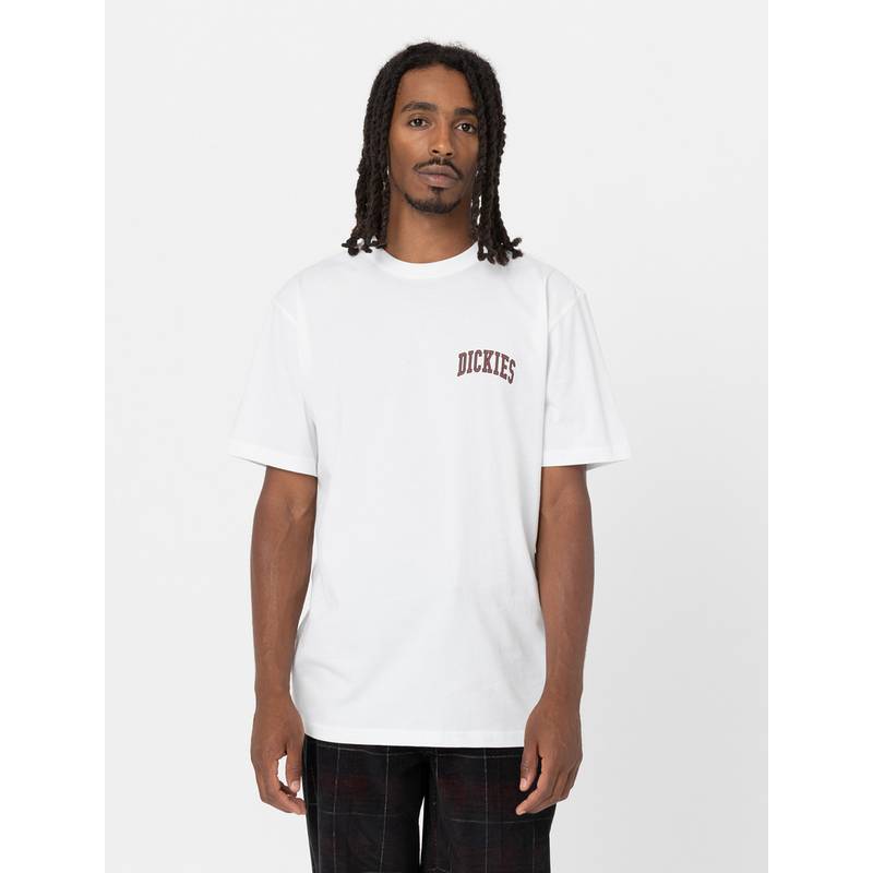 Dickies Aitkin T-Shirt Herren