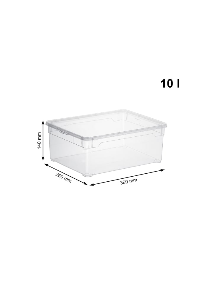 Rotho 3er Set Box Men Shoe CLEAR günstig kaufen onesize