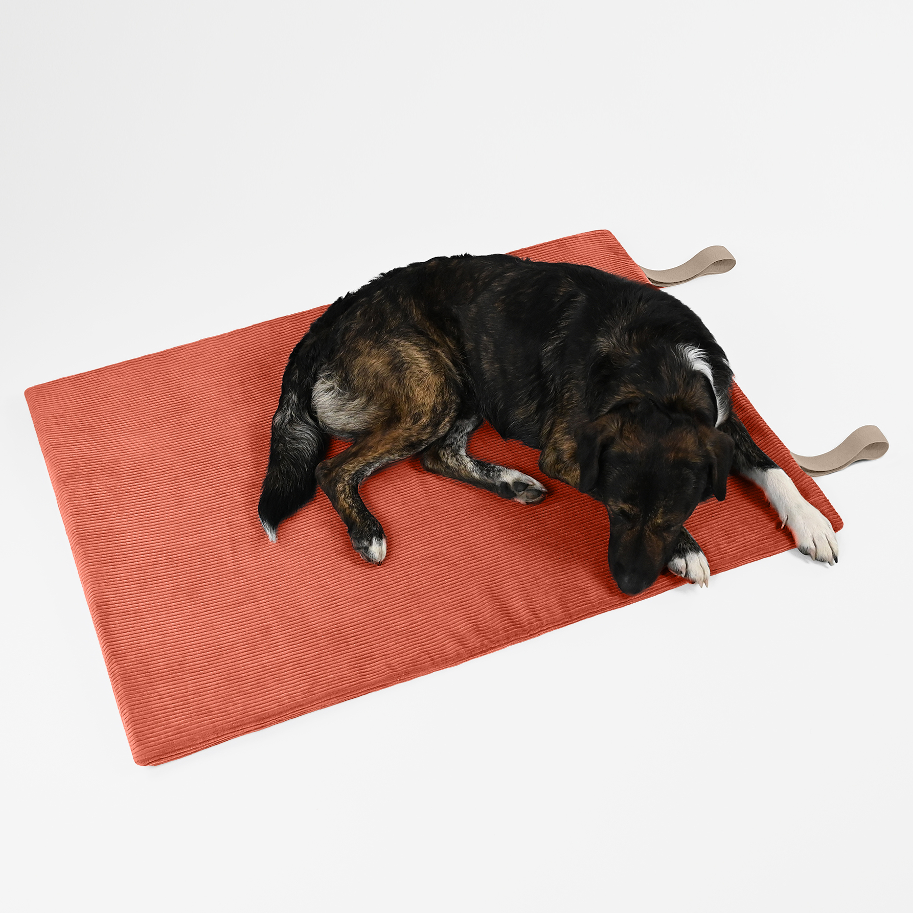 THE DOG IDEA Hundebetten THE DOG IDEA Reisebett Travelbed Steinrot