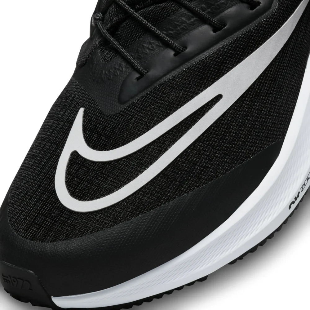 Nike Pegasus FlyEase 39 DJ7383-001 / schwarz