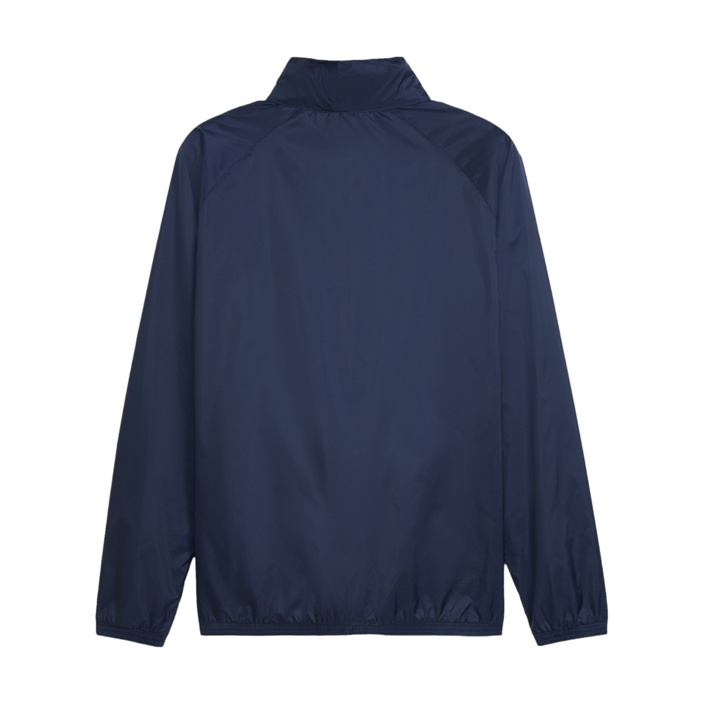 PUMA teamGOAL Allwetterjacke Blau Weiss F06