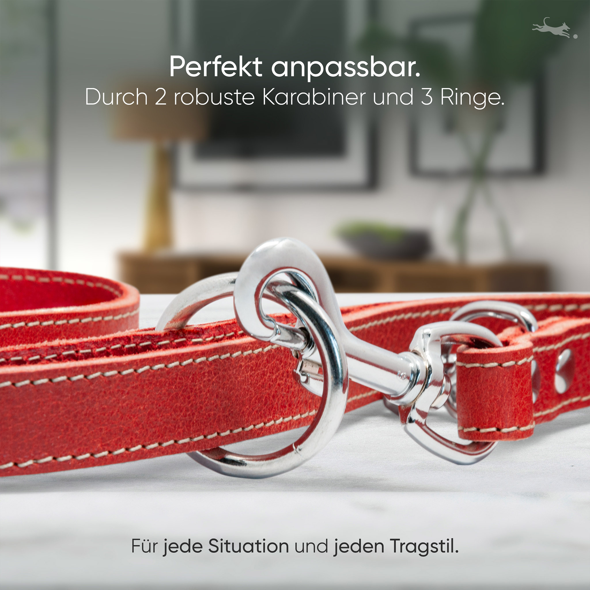 Freudentier Hundeleinen Freudentier Hundeleine aus Leder, verstellbar rot 2,5 cm