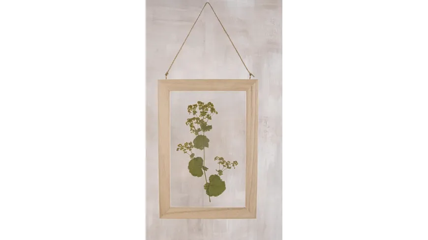 Rayher Blumenpresse Natur Credit21x30cm