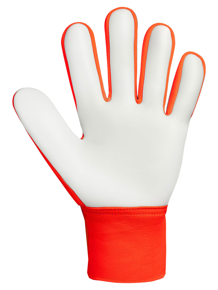 Reusch Torwarthandschuhe Attrakt Starter Solid Junior in 2290 shocking orange/blue günstig kaufen