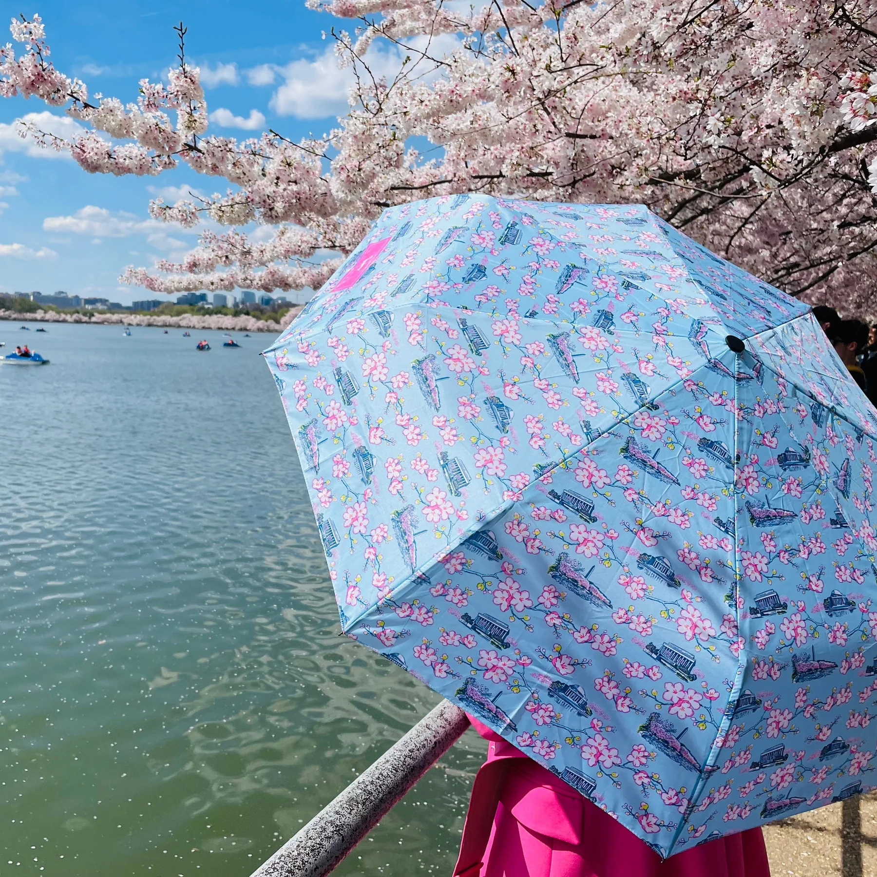 Umbrella High and Dry