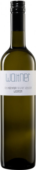 2022 Grüner Veltliner Ried Engelmannsbrunner Hochrain trocken - Weingut Gerald Waltner