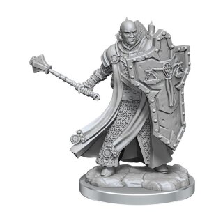 D&D Frameworks: Human Cleric Male