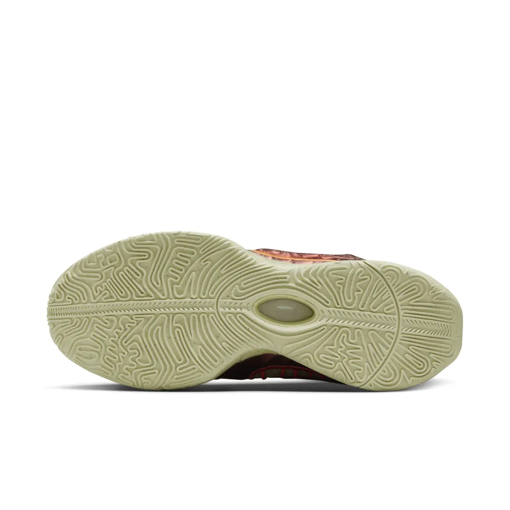 Nike Lebron XXI FN0708-800 / rot
