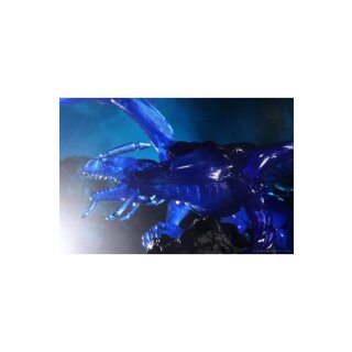 D&D Icons of the Realms: Sapphire Dragon Premium Figure