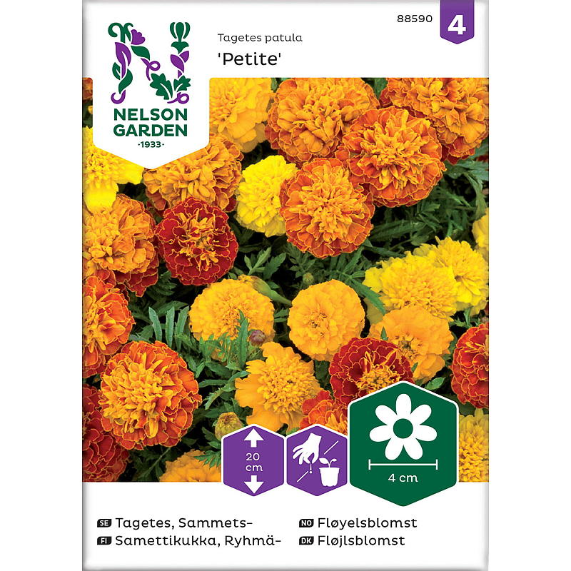 Nelson garden Frø Fløyelsblomst Petite mix, lav
