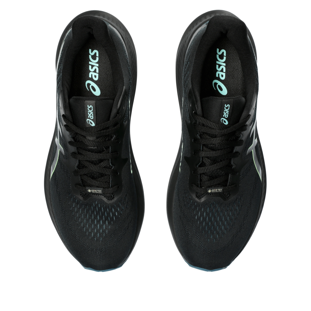 Asics GT 2000 12 GTX 1011B687-001 / schwarz