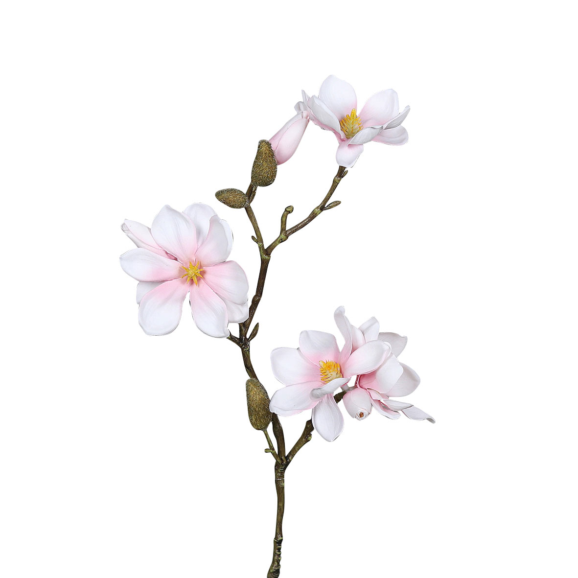 DPIMagnolien 40cm