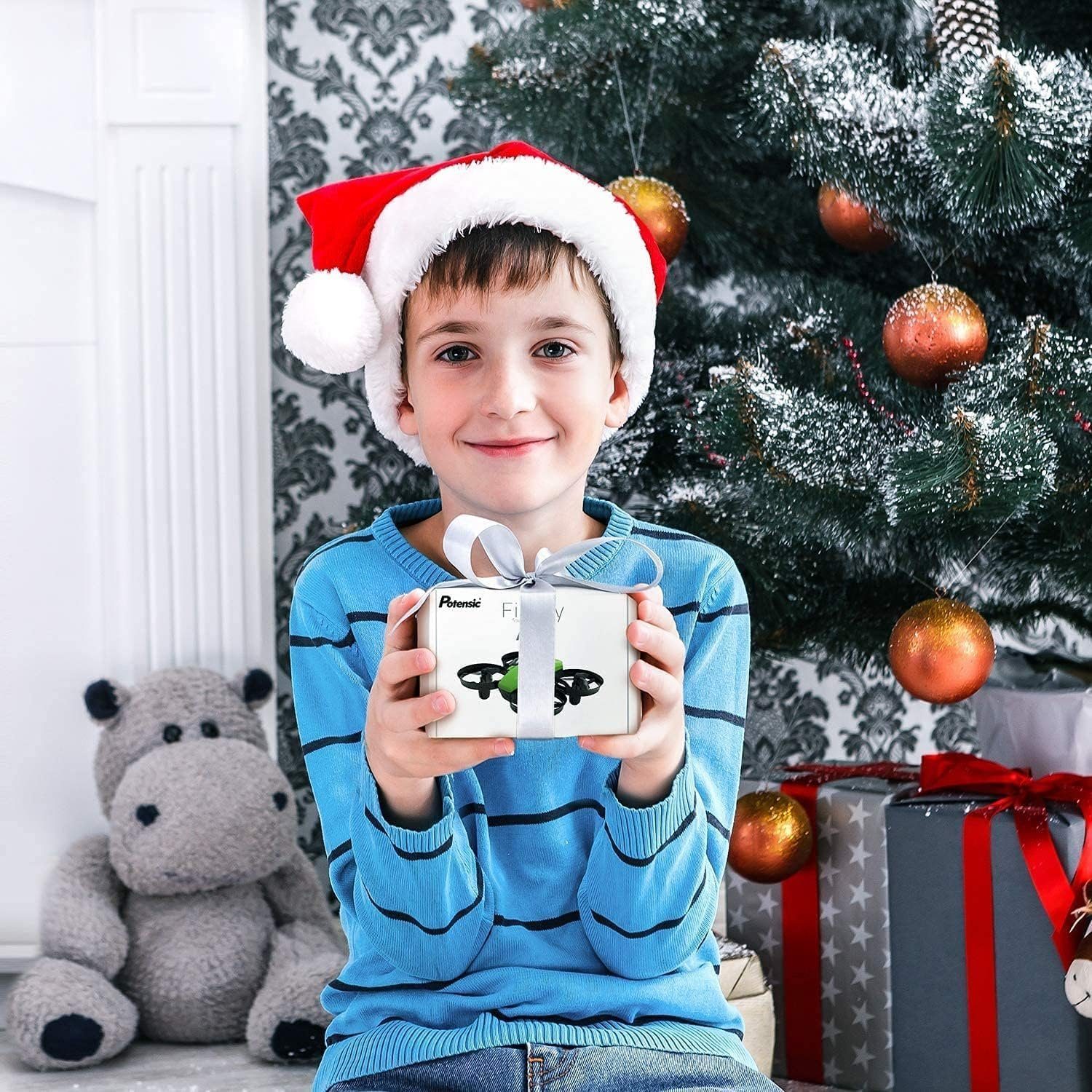 Potensic Drohne (Quadrocopter, Mini Drone mit Höhenhaltemodus, Start/Landung mit einem)