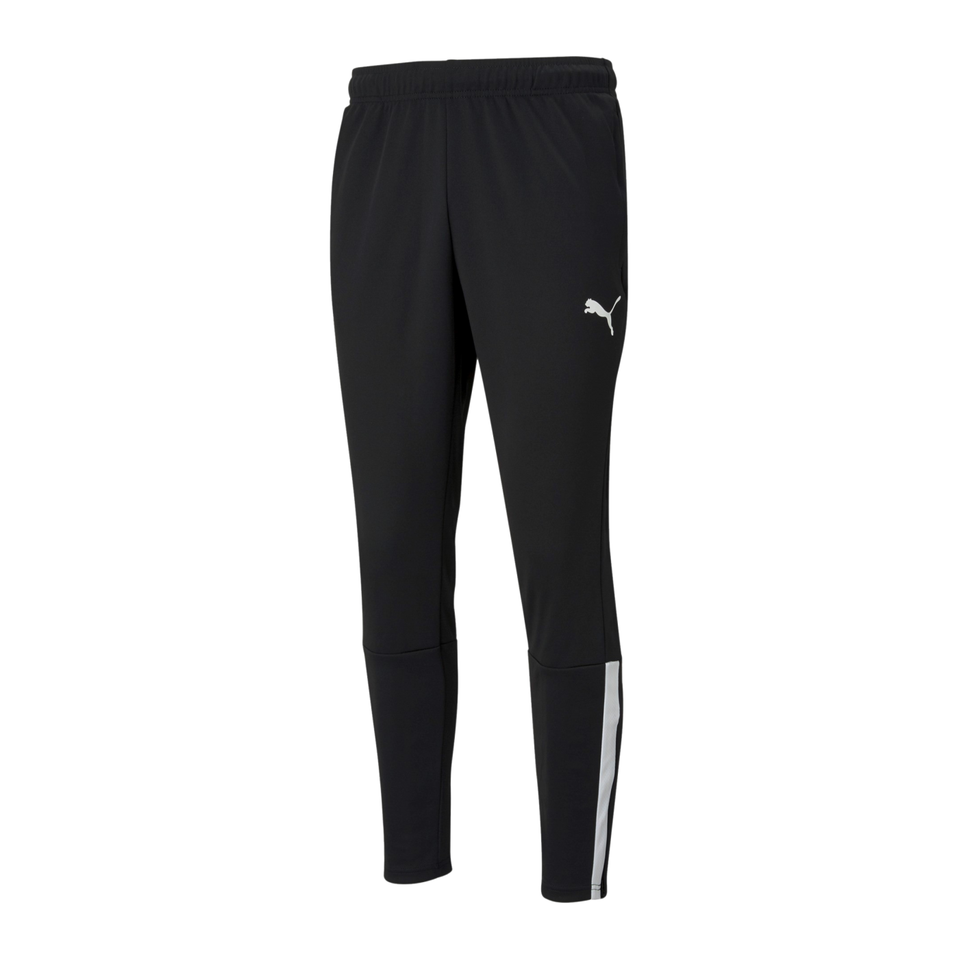 PUMA teamLIGA Trainingshose Schwarz F03