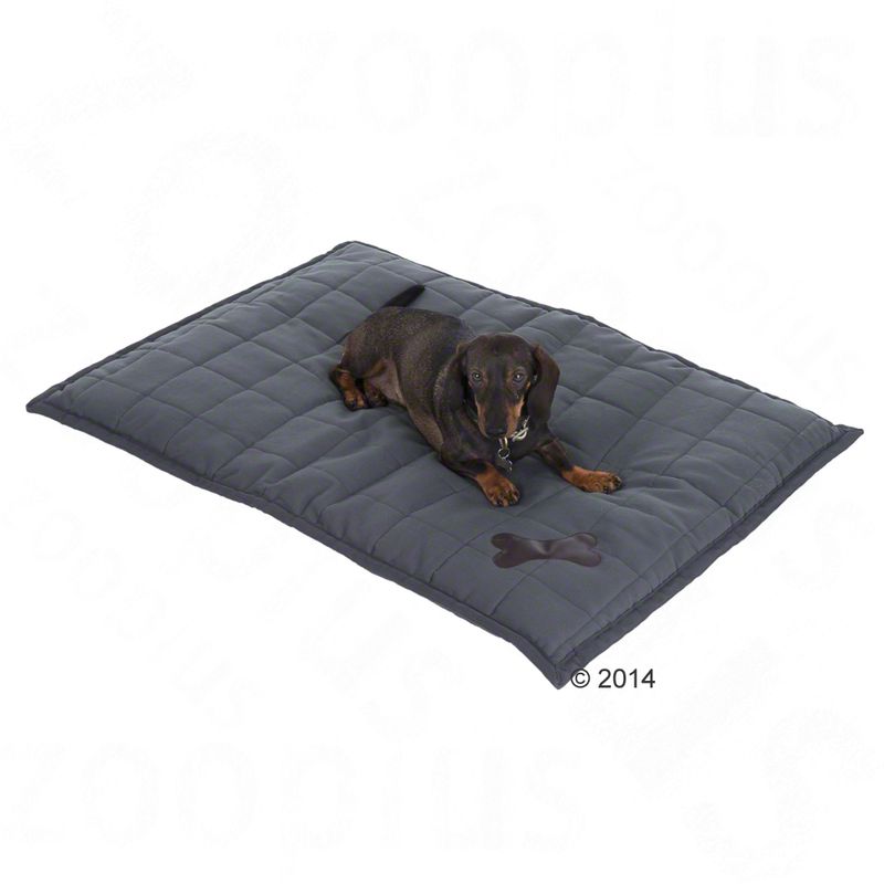 Liegedecke Freedom Bone zu TOP-Preisen