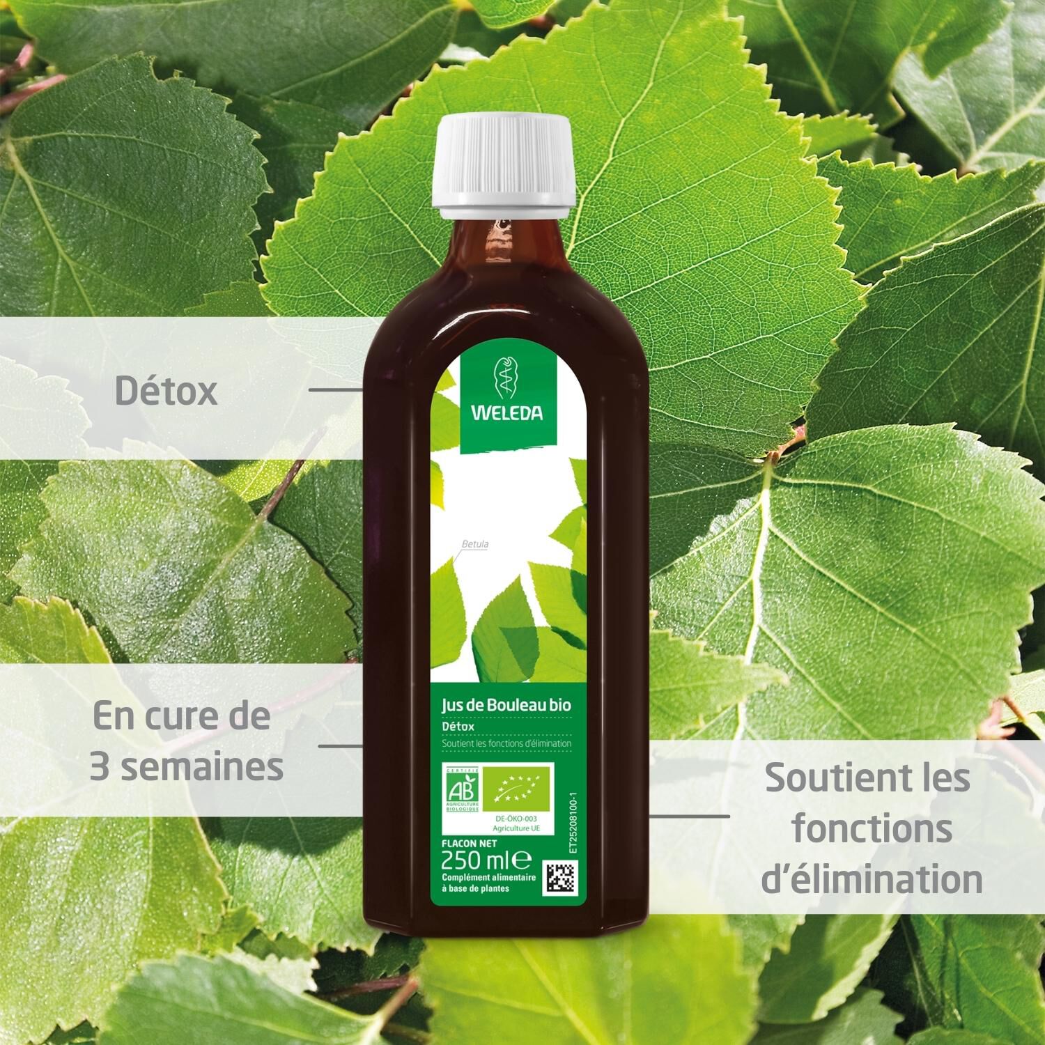 Weleda Jus de Bouleau Bio Complément Alimentaire - Soutient les Fonctions d'Élimination - 250 ml