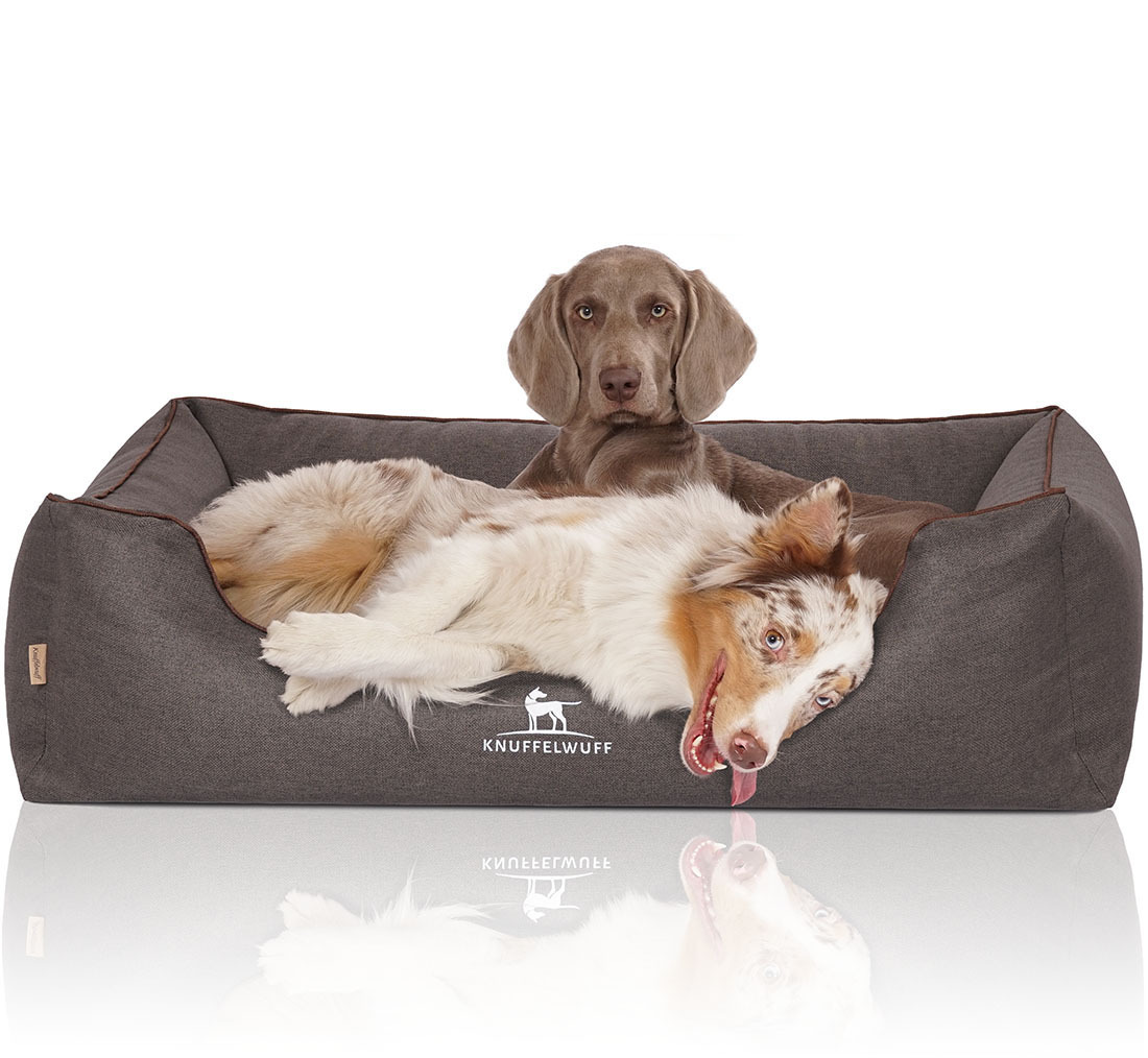 Knuffelwuff Hundebetten Knuffelwuff Orthopädisches Hundebett Wippo aus Velours mit Handwebcharakter schwarz XXL