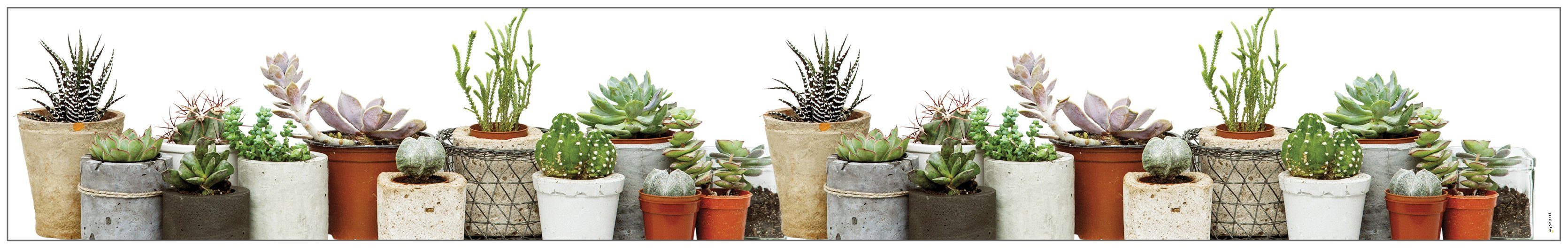 Fensterfolie Look Succulents, MySpotti, halbtransparent, glatt, 200 x 30 cm, statisch haftend
