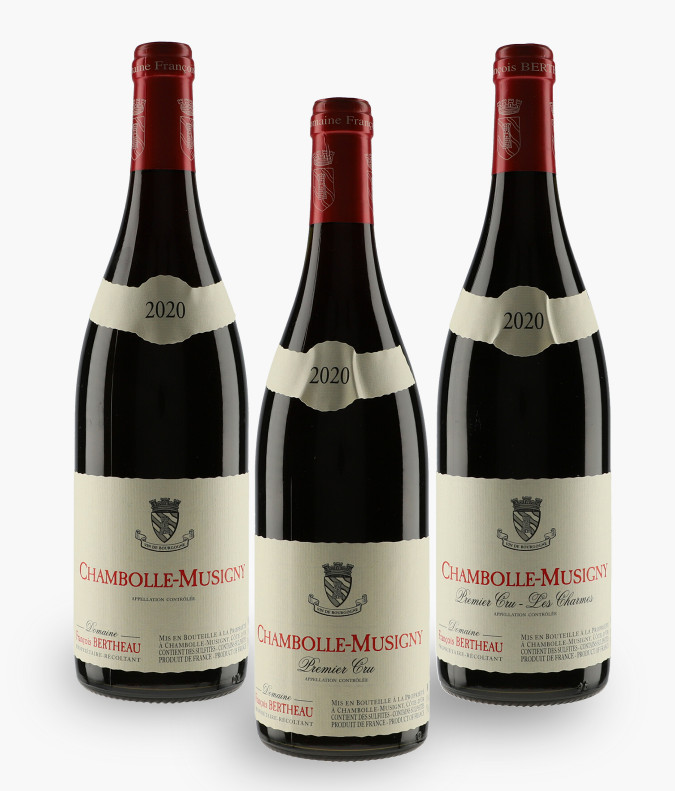 HORIZONTALE FRANCOIS BERTHEAU 2020BERTHEAU FRANCOIS