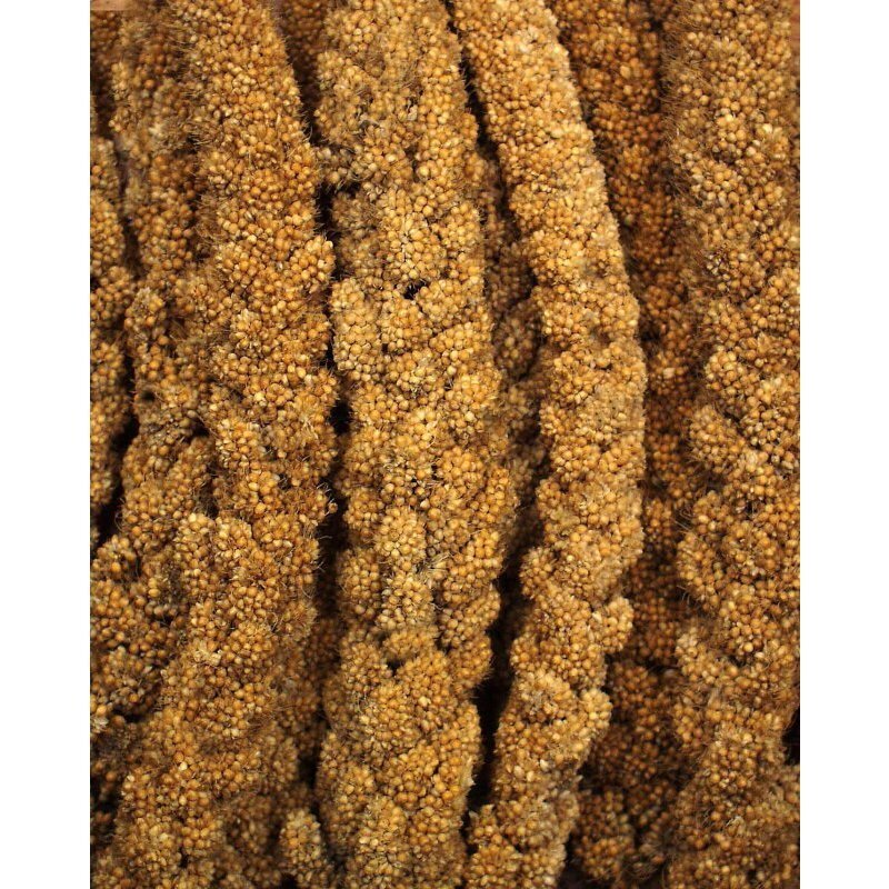JR Farm Snacks JR Farm gelbe Kolbenhirse 3x1,5 kg
