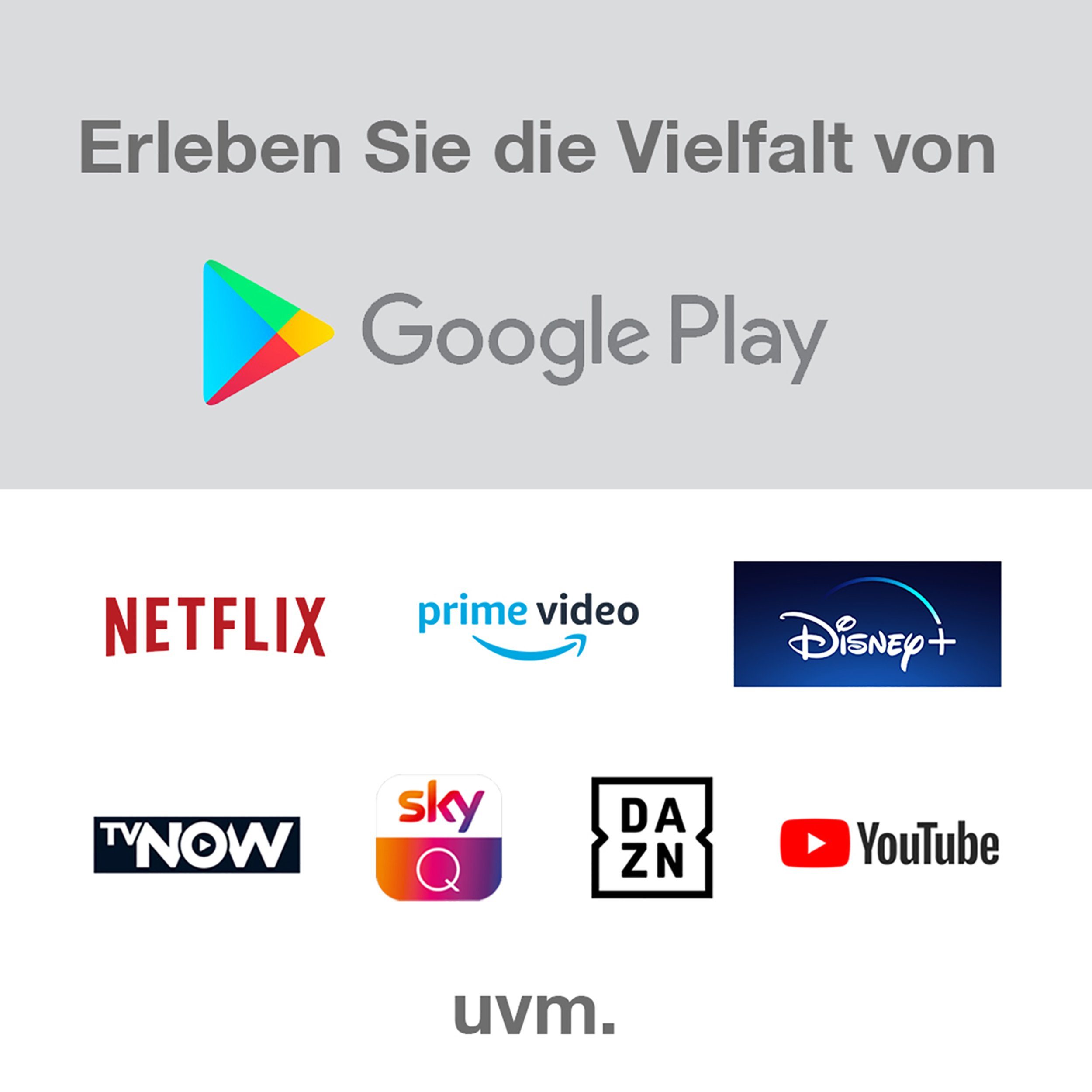 Telefunken D24H550X2CW LCD-LED Fernseher (60 cm/24 Zoll, HD-ready, Android TV, Triple-Tuner, Bluetooth, HDR10, Google Play Store)
