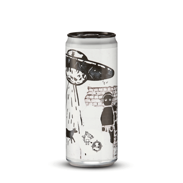 Take me Home 33 cl