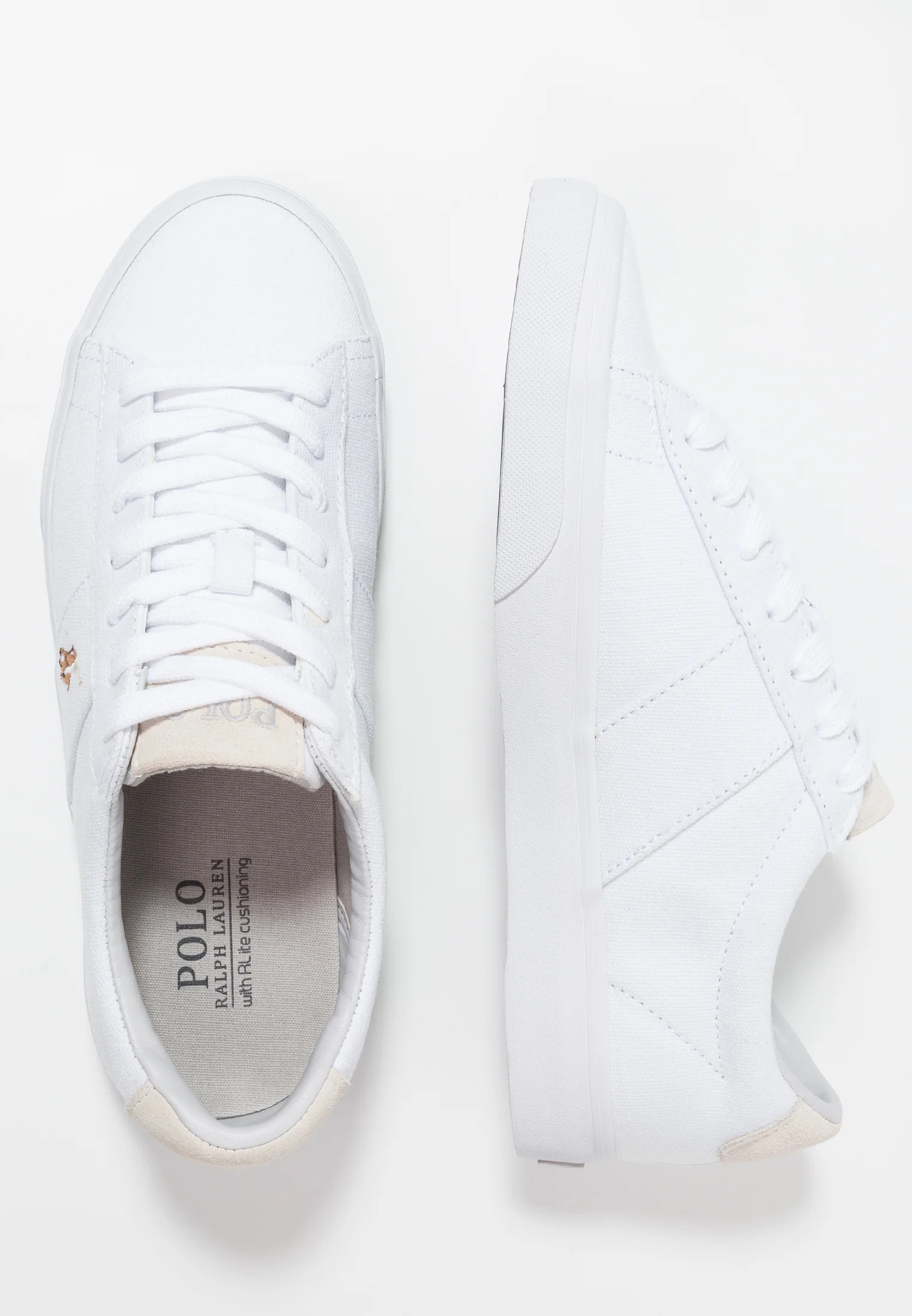 Polo Ralph Lauren SAYER CANVAS SNEAKER - Zapatillas bajas