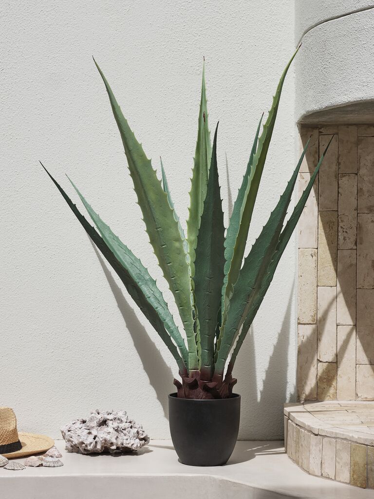 TOPPMEIS Planta artificial TOPPMEIS W105cm agave verde