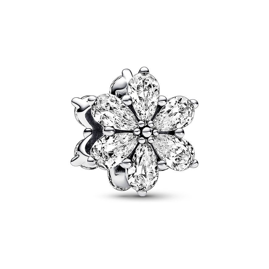 Pandora Charm Timeless