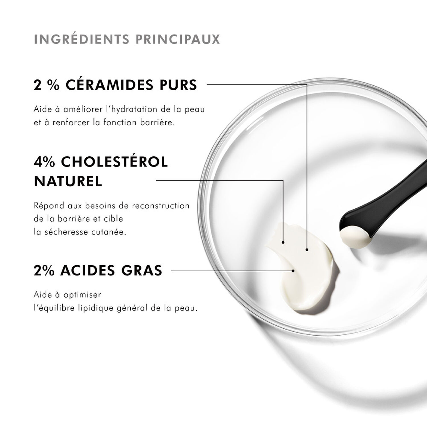 Skinceuticals Triple Lipid Restore 2:4:2 Crème Anti-Rides Régénérante et Nourrissante 48 ml