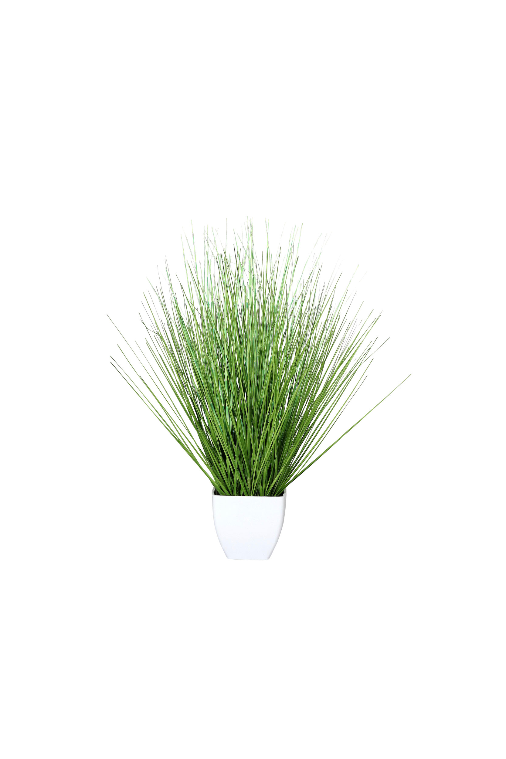 DPICalifornia-Beach-Gras