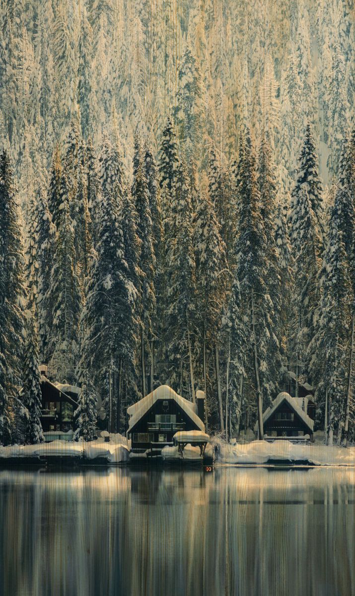 Trendhopper Bild Winter Wonders 70 x 118 cm