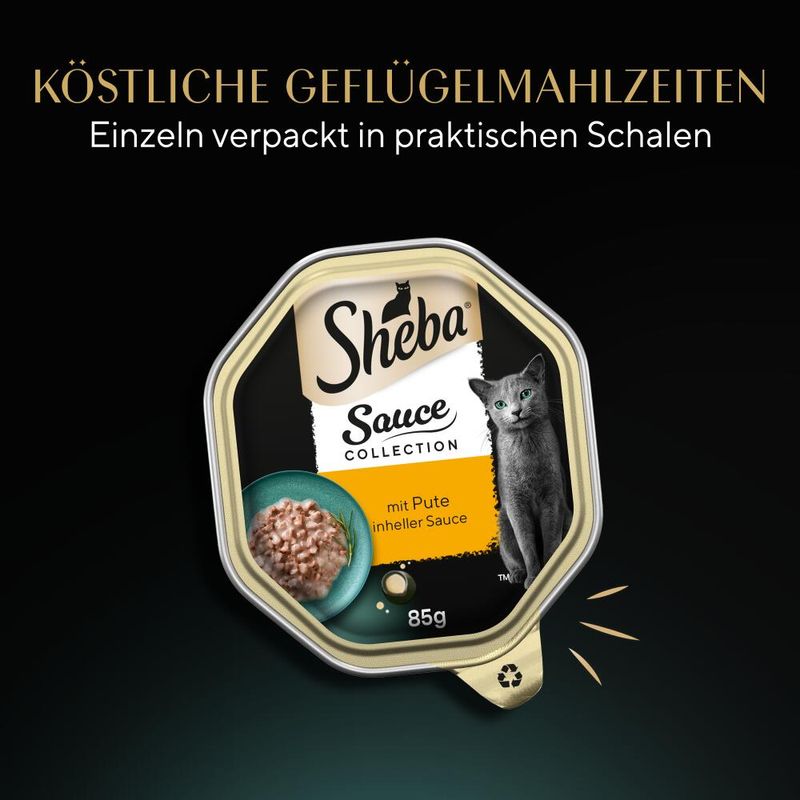 Sparpaket Sheba Schale 44 x 85 g zu TOP-Preisen