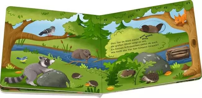 Rate mal: Wer sitzt im Wald?